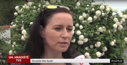 Reportáž TVS: Chystáme Slovácké léto